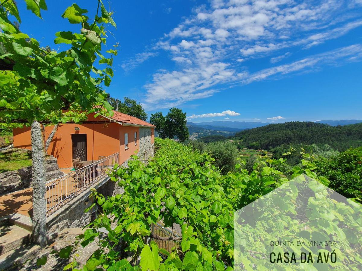 Villa Quinta da Vinagra Tourim Esterno foto