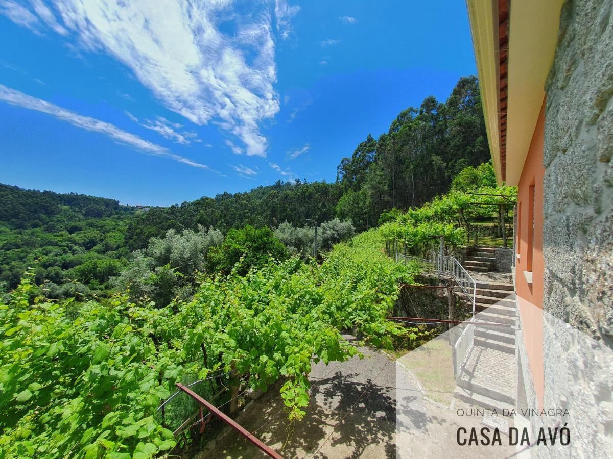 Villa Quinta da Vinagra Tourim Esterno foto
